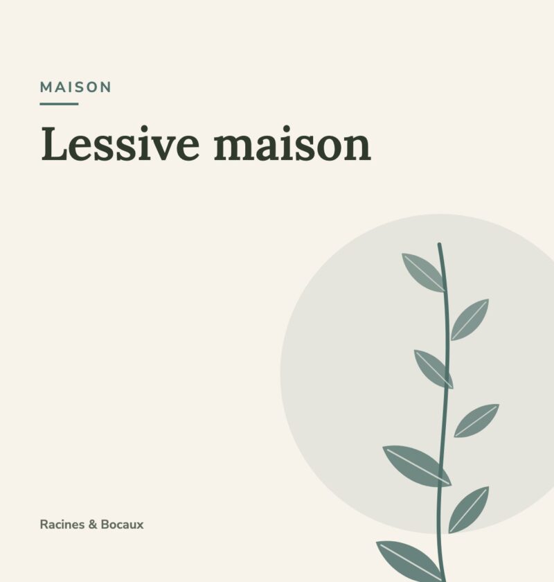Lessive maison