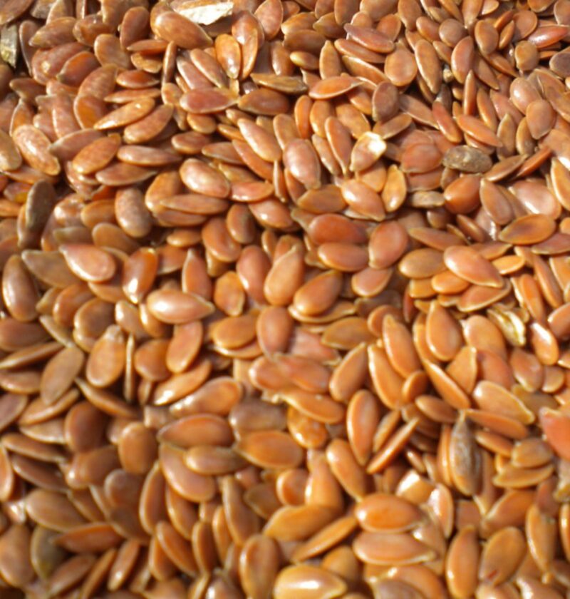 Graines de lin brunes